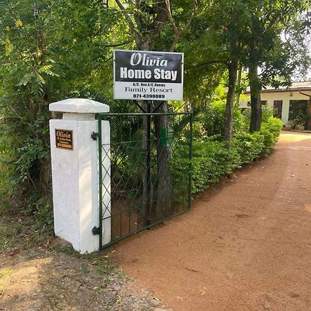 Olivia Homestay Anuradhapura Exterior foto