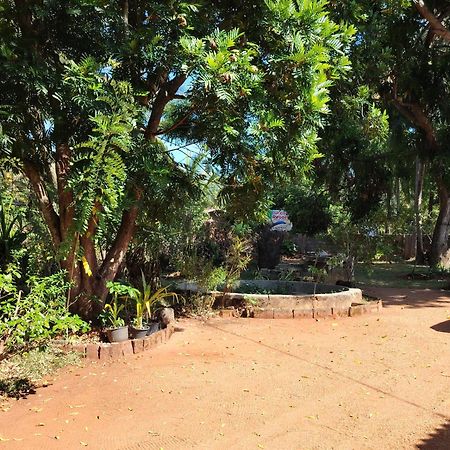 Olivia Homestay Anuradhapura Exterior foto