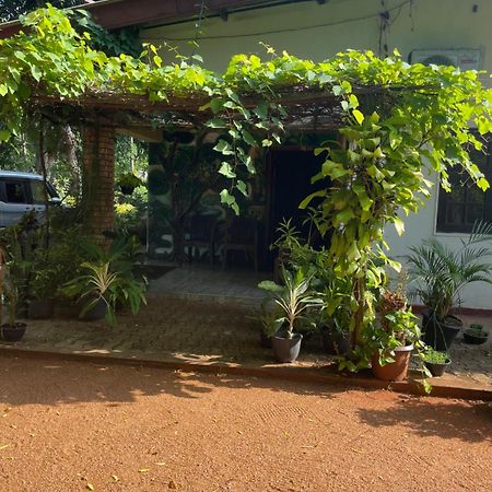 Olivia Homestay Anuradhapura Exterior foto