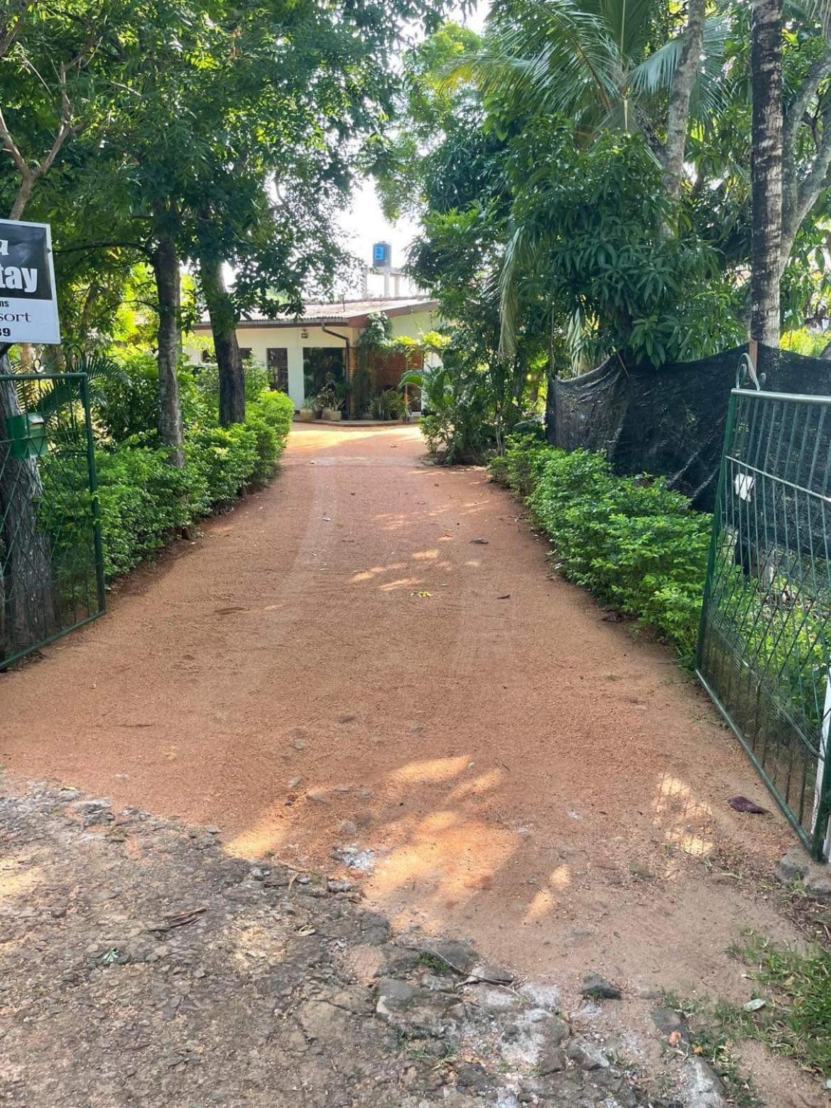 Olivia Homestay Anuradhapura Exterior foto