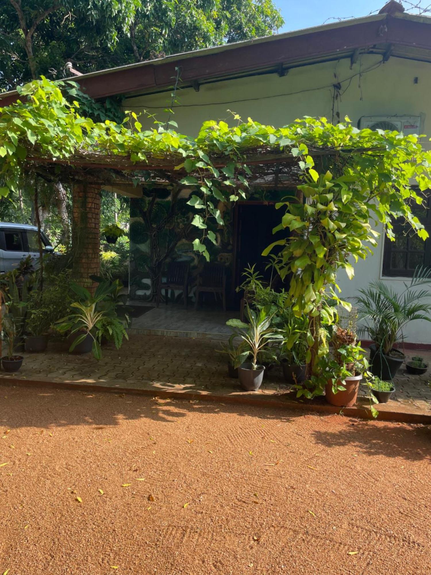 Olivia Homestay Anuradhapura Exterior foto