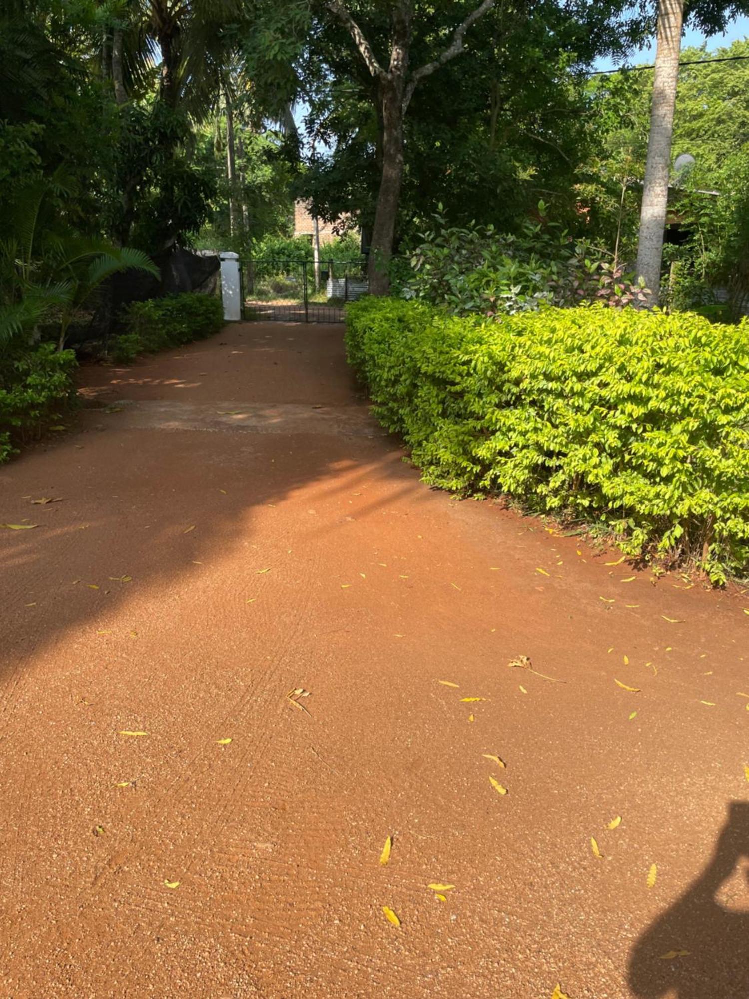 Olivia Homestay Anuradhapura Exterior foto